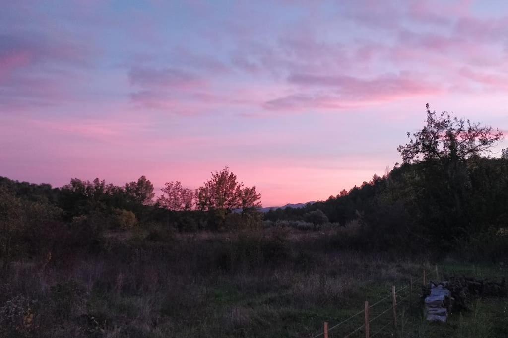 L'escale Provencale *