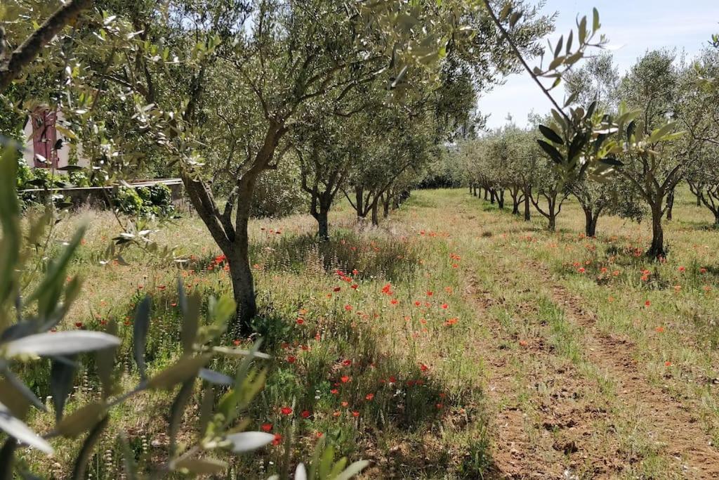 L'escale Provencale